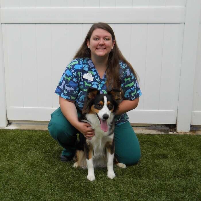 Lily<br>Certified Nurse Student  photo